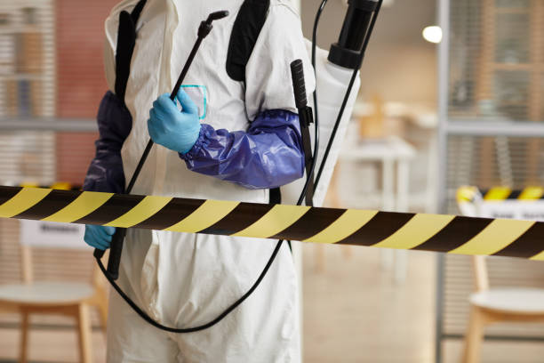 Professional Sewage Cleanup technician working in Summit, IL